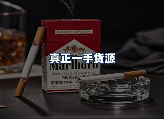 专业团队办公环境